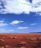 Desert Sky