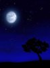 Night