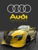 Audi sport