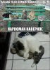 Карикатуры и комиксы