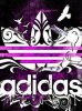 Fiolet adidas