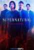 Сверхъестественное / Supernatural (10 сезон) (2014)