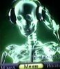 dj Skelet