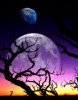 Fantasy Land