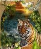 Tigr