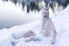 Приятное ожидание Нового Года! (Конкурс)