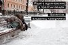 Несколько советов о том , как жить в эти сложные времена