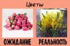 Международный женский день : ожидание и реальность 1 	