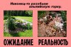 Майские праздники - ожидание и реальность