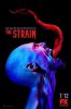 Штамм / The Strain (2 сезон) (2015)