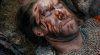 Палач (Палач-бастард) / The Bastard Executioner (2015)