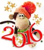 С Новым 2016 Годом!
