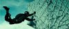 На гребне волны / Point Break (2015)