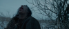 Выживший / The Revenant (2015)