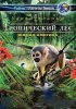 Удивительный тропический лес: Южная Америка / Fascination Rainforest (2012)