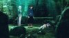 Сказания Этернии - Фантазии - Симфонии - Бездны - Весперии -  Зестирии / Tales of Eternia - Phantasia - Symphonia - Abyss - Vesperia - Zestiria (2001 - 2017)