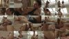 Внутри Совершенство / Inside Perfection (2012)
