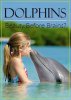 Дельфины: Тест на интеллект / Dolphins: Beauty Before Brains? (2011)