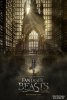 Фантастические твари и где они обитают / Fantastic Beasts and Where to Find Them (2016)