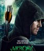 Стрела / Arrow (5 сезон) (2016-2017)