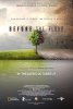 National Geographic. Спасти планету / Before the Flood (2016)