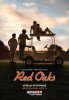 Красные дубы / Red Oaks (2014-...)