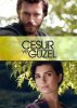 Отважный и красавица / Cesur ve Güzel (2016)