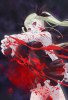 Танец на набережной вампиров / Dance In The Vampire Bund (2010) (16+)