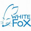 Студия White Fox