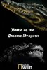 National Geographic. Битва болотных драконов / Battle of the Swamp Dragons (2017)