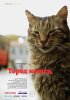 Город кошек / Kedi (2016)