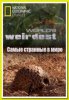 Самые странные в мире / World`s Weirdest (2013)