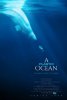 Пластиковый океан / A Plastic Ocean (2016)