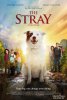 Бродяжка / The Stray (2017)