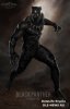 Черная Пантера / Black Panther (2018)