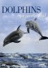 BBC: Дельфины скрытой камерой / Dolphins: Spy in the Pod (2014)