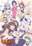 Кошачий рай / Nekopara (2020)