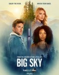 Бескрайнее небо / The Big Sky (2020-...)