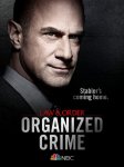 Закон и порядок: организованная преступность / Law & Order: Organized Crime (2021-...)