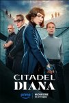 Цитадель: Диана / Citadel: Diana (2024 – ...)